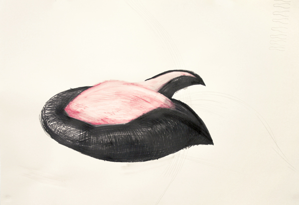 Memorial For The Unknown Iceberg